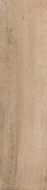 WVNT R3012A RM Wood 1a4 30x120