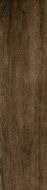 WVNT R3012T RM Wood 1a4 30x120