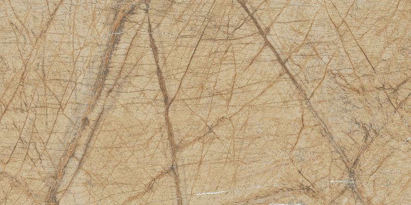 Wattle Beige Drab 60x120