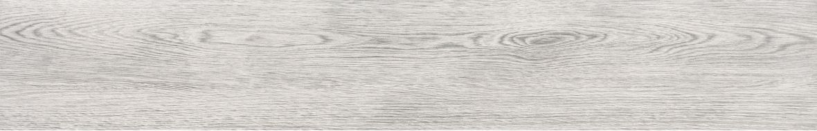 Westwood bianco 19.3*120.2