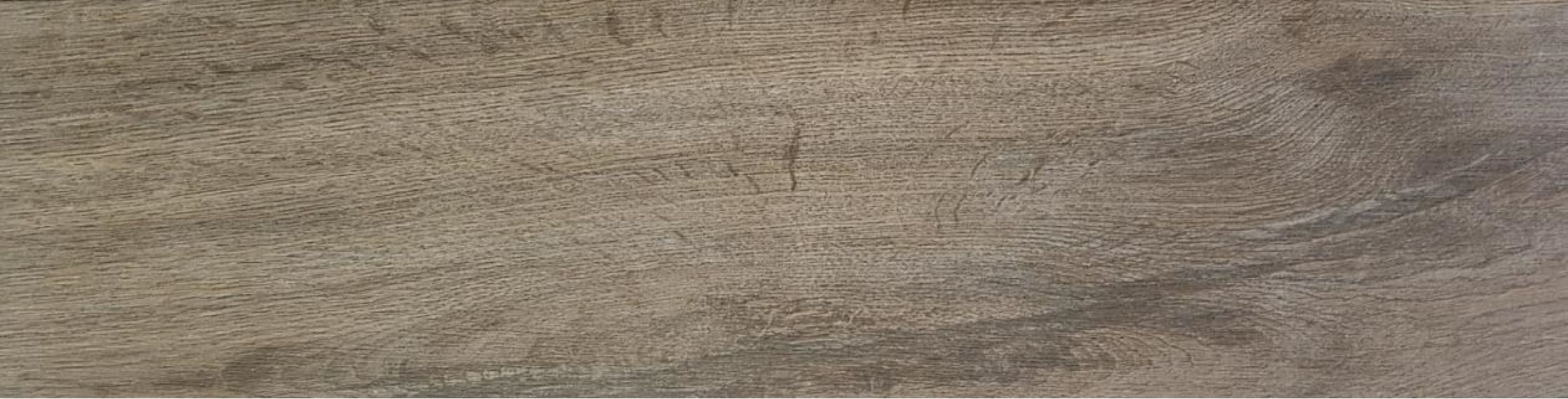 Wild PRI Taupe 15.3x58.9