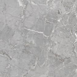 Wixon Grey Shiny Sugar 60x60