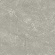 Wolf Grey 80х80