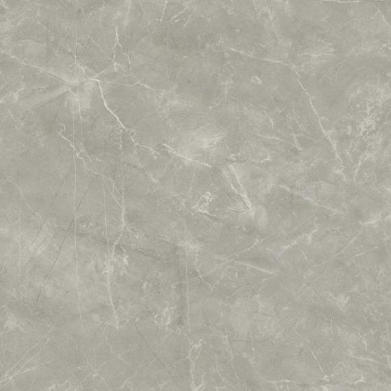Wolf Grey 80х80