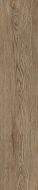 Woodline Light Brown 20x100 Керамогранит