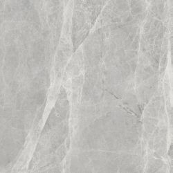 Worner GREY 60x60