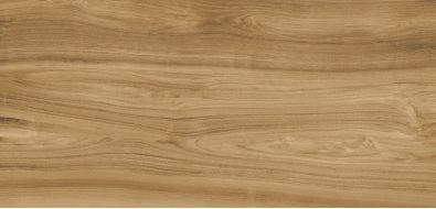 Xlight Ewood Camel Nature 120x250