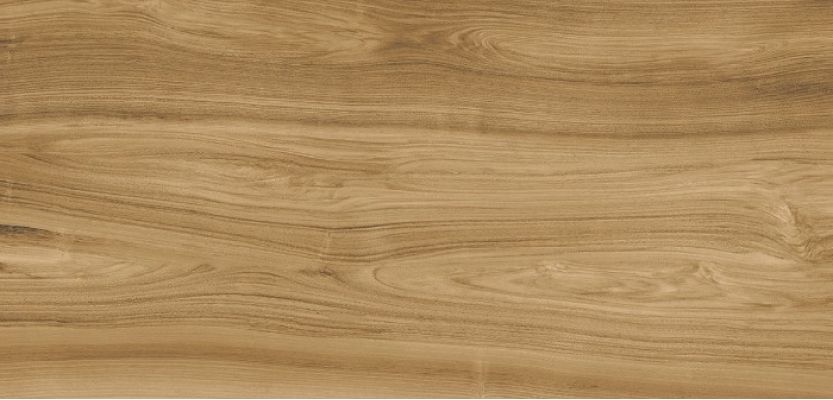 Xlight Ewood Camel Nature 120x250