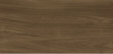 Xlight Ewood Honey Nature 120x250
