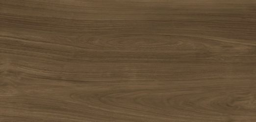 Xlight Ewood Honey Nature 120x250