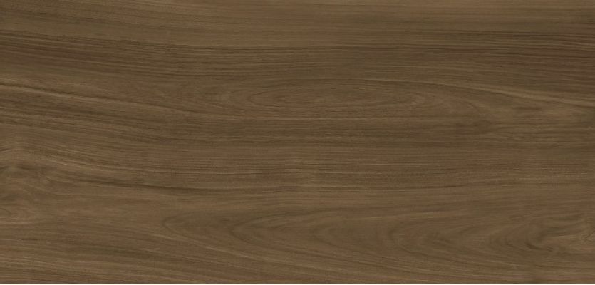 Xlight Ewood Honey Nature 120x250