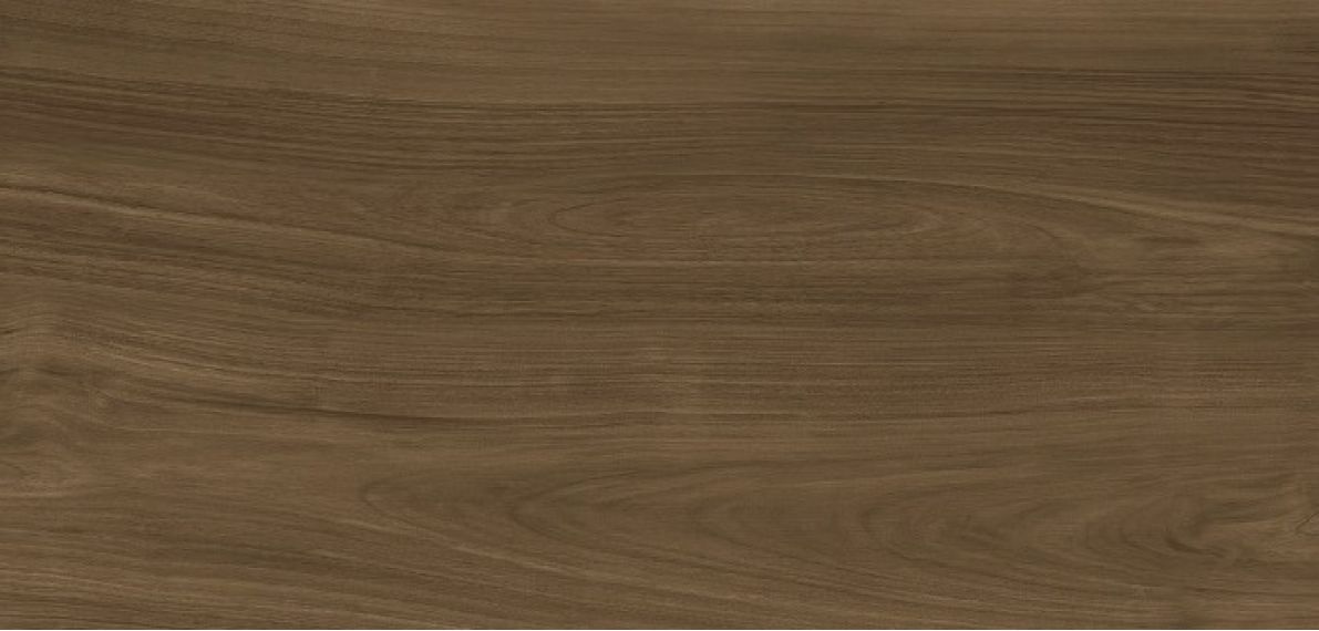 Xlight Ewood Honey Nature 120x250