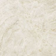 Xlight Premium Taj Mahal Polised 120x120