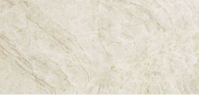 Xlight Premium Taj Mahal Silk 120x250