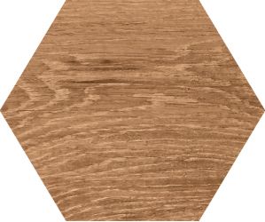 Yosemite Exa Oak 20x24