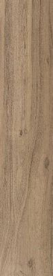 ZC 1023006 rect. 20x100