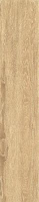 ZC 1023058 rect.. 20x100