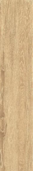 ZC 1023058 rect.. 20x100