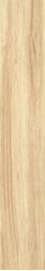 ZC 1223081 rect. 20x120