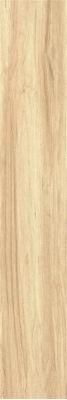 ZC 1223081 rect. 20x120