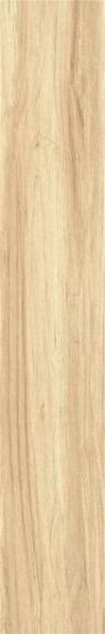 ZC 1223081 rect. 20x120