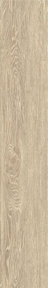 ZC 1223091 rect. 20x120