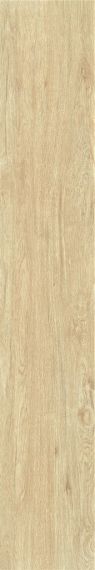 ZC 1223096 rect. 20x120