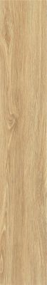ZC 1223098 rect. 20x120