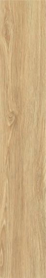 ZC 1223098 rect. 20x120