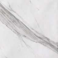 fLX4 Roma Statuario 20x20