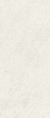 fOV2 Керамогранит Roma Carrara Silk 120x278
