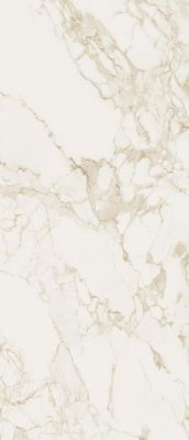 fOWR Керамогранит Roma Calacatta Silk 120x278