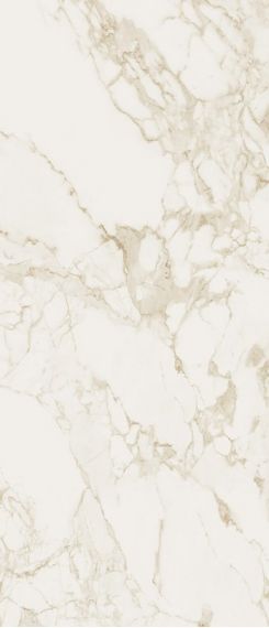 fOWR Керамогранит Roma Calacatta Silk 120x278