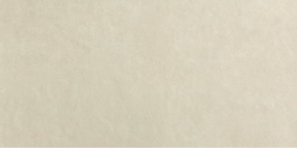 fOXC Плитка Bloom Beige 80x160