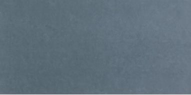 fOXD Плитка Bloom Blue 80x160