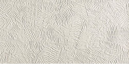fOXM Плитка Bloom Star White 80x160