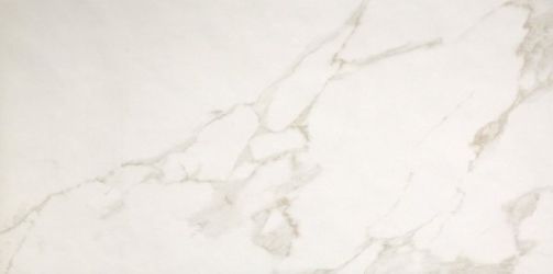 fPP5 Roma 50 Calacatta 50x120