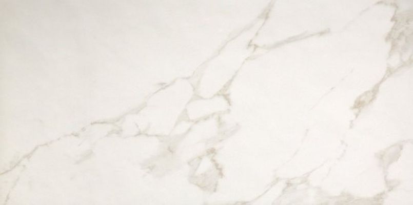 fPP5 Roma 50 Calacatta 50x120