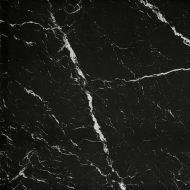 fPZX Керамогранит Nero Elegante Brillante 120x120