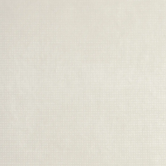 fQQV Керамогранит Rooy White Matt 80x80