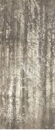 fQWO Ylico Wood Fog 120x278