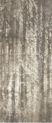 fQWO Ylico Wood Fog 120x278