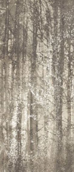 fQWO Ylico Wood Fog 120x278