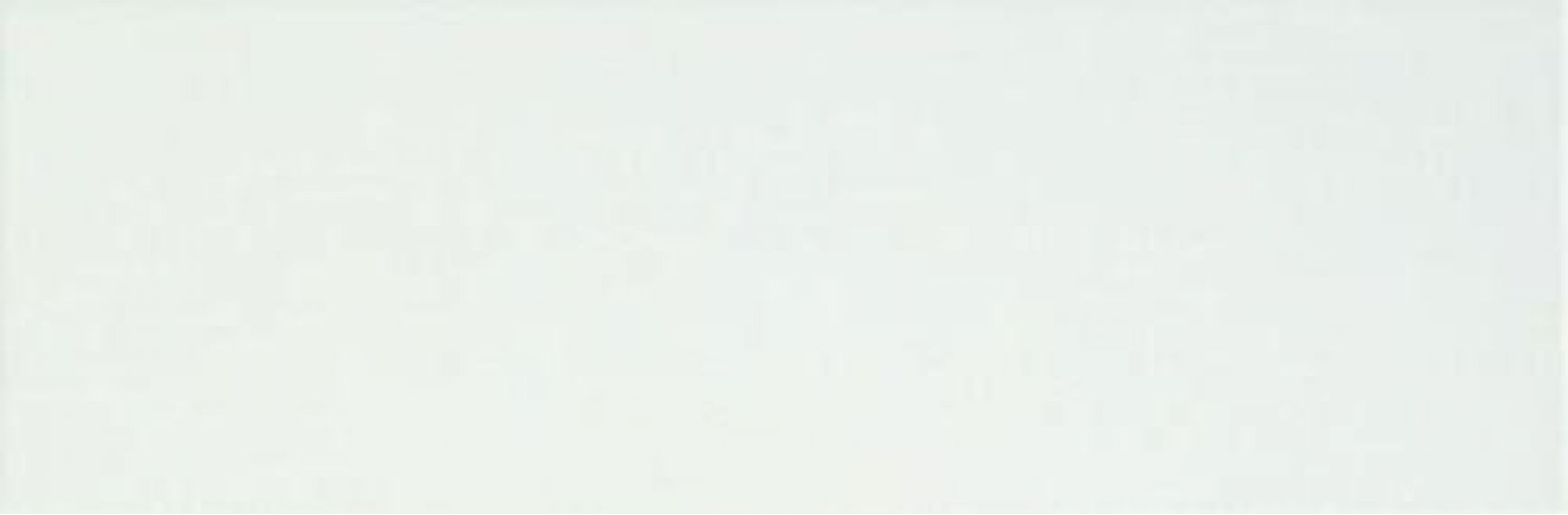 fREL Плитка Lumina White Matt 25x75