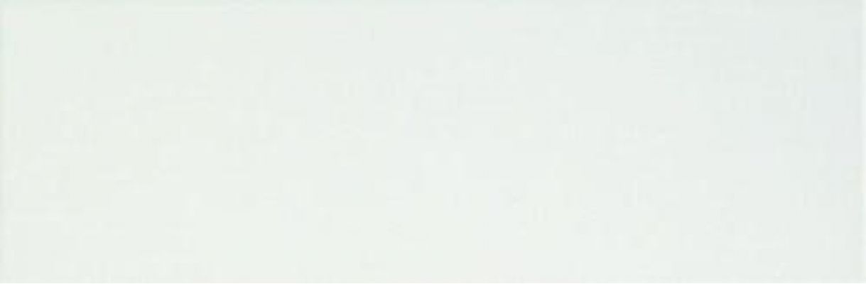 fREZ Плитка Lumina White Gloss 25x75