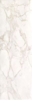 fRFC Roma Calacatta 25x75