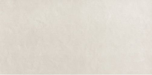 fRFI Плитка Bloom White 80x160