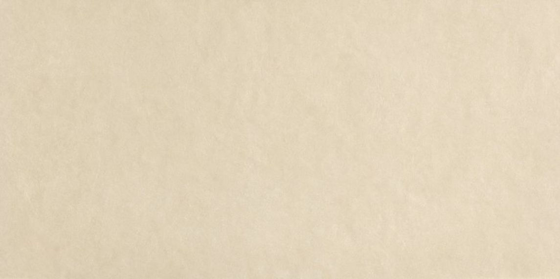 fRFN Плитка Sheer Beige RT 80x160