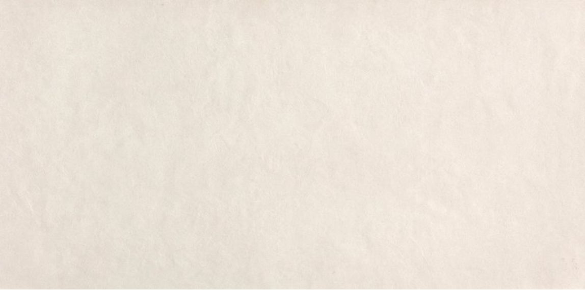 fRFP Плитка Sheer White RT 80x160