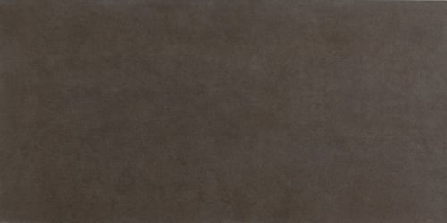 fRGP Плитка Bloom Brown 80x160